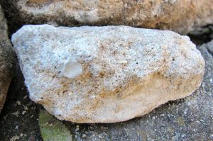 A small fragment of Bermuda stone excavated today.